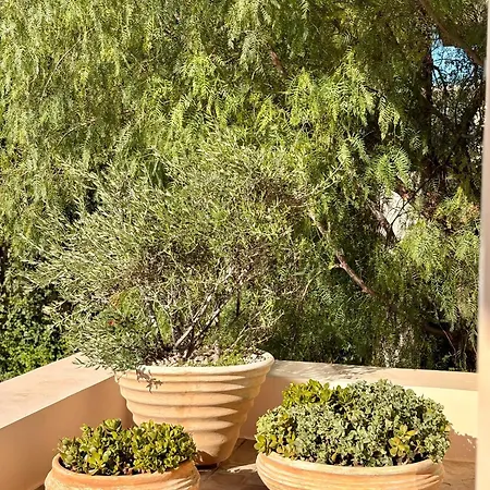 Thalia Floating Heaven Porto Heli