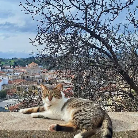 Thalia Floating Heaven * Porto Heli