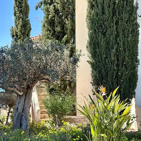 Villa Thalia Floating Heaven Porto Cheli