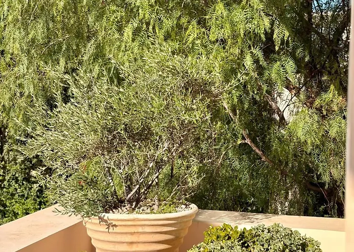 Thalia Floating Heaven פורטו הלי