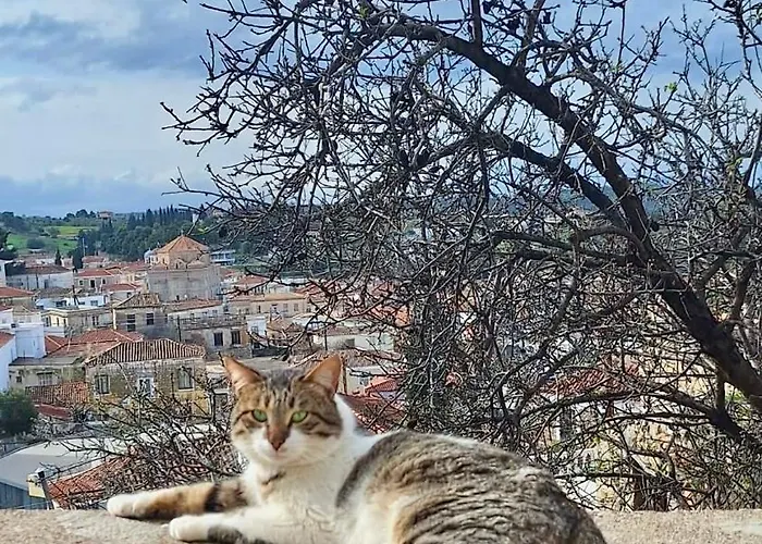 Thalia Floating Heaven * פורטו הלי